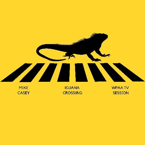 Iguana Crossing
